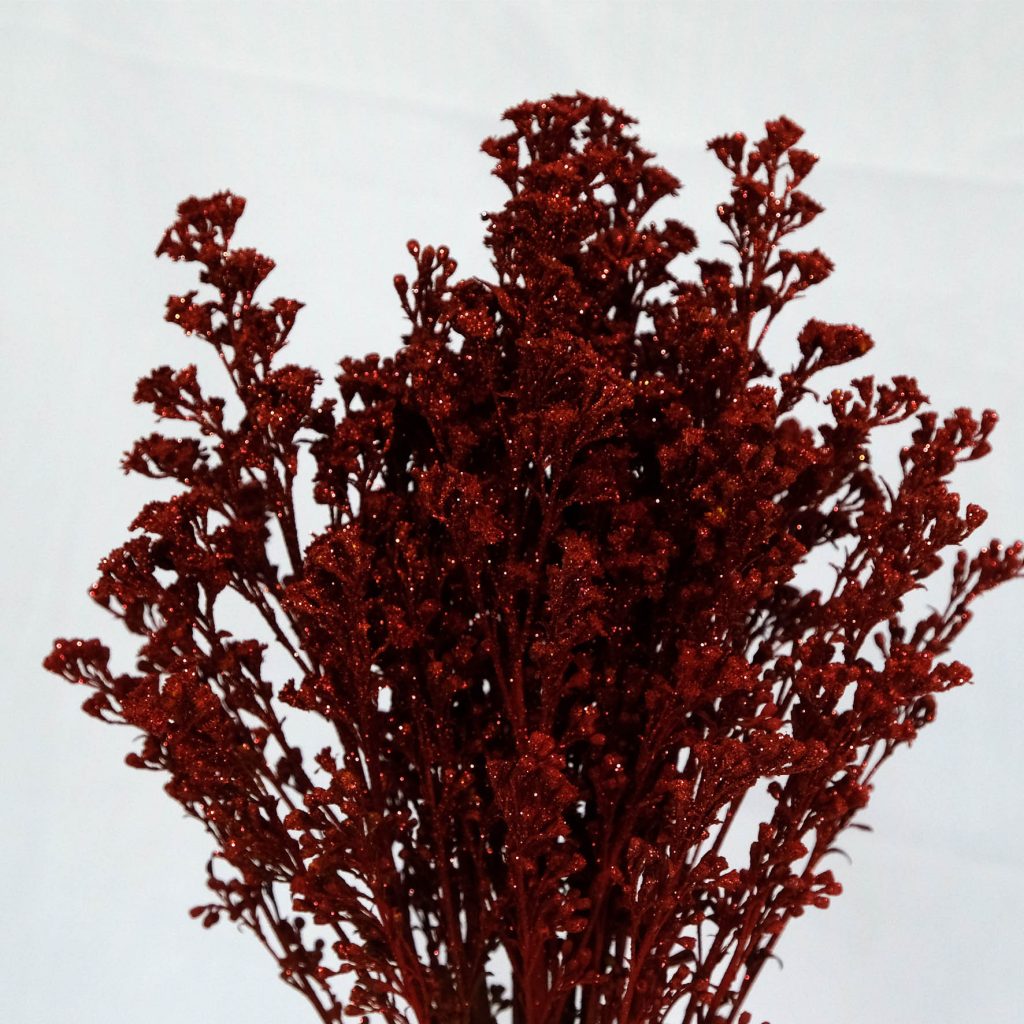 Solidago Tinted | Florsani